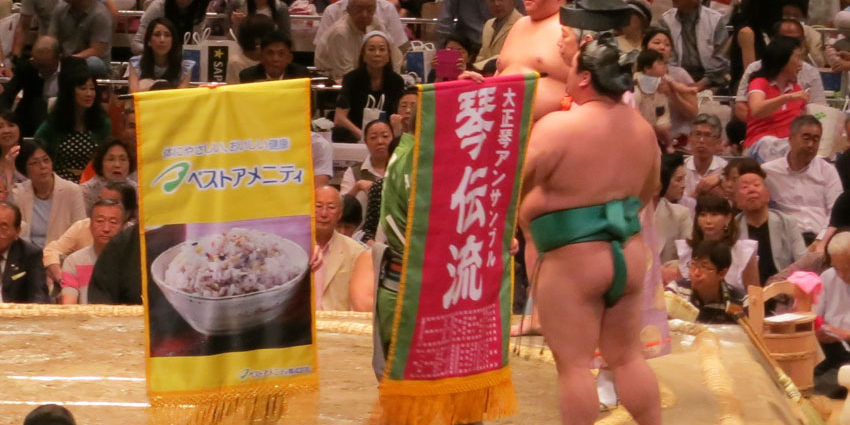 平成29年五月場所